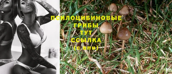 метамфетамин Алексеевка