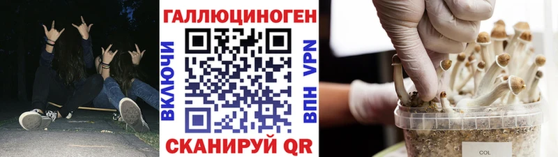 Галлюциногенные грибы MAGIC MUSHROOMS  Асино 