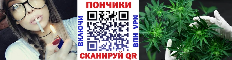 где найти   Асино  Шишки марихуана планчик 